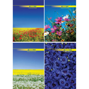 Книга канцелярська BUROMAX А4, 96 аркушів, клітинка, обкладинки в асортименті (5941)